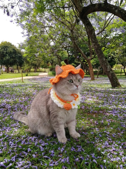 Kitty Hat