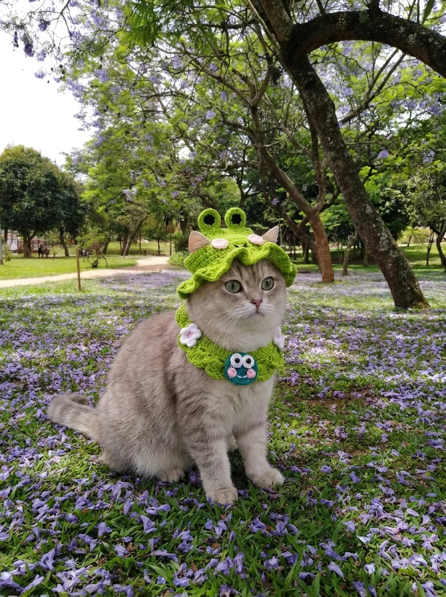 Kitty Hat