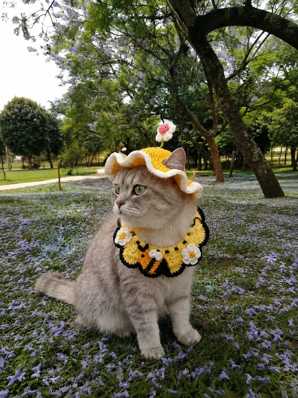 Kitty Hat